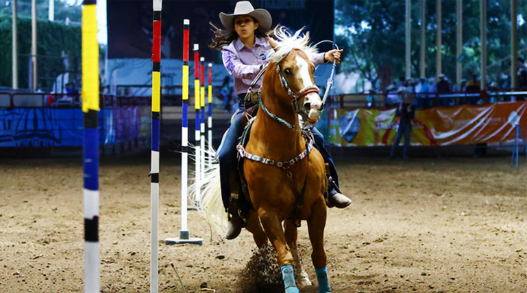 Rodeo