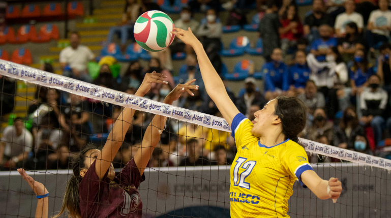 Voleibol